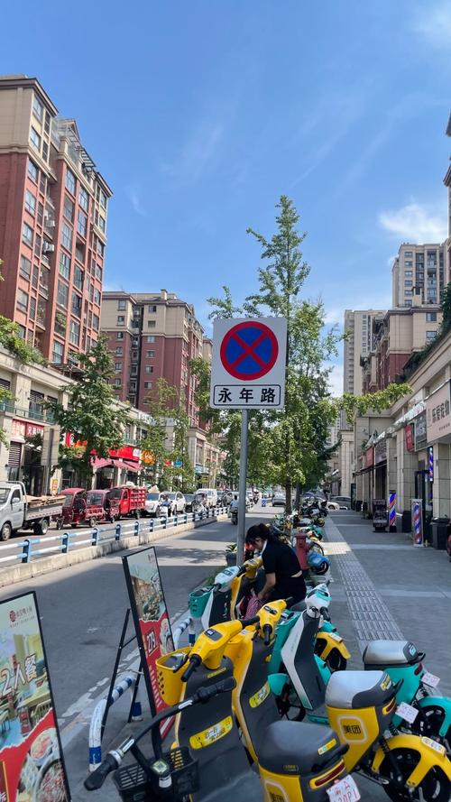 城市街头的“肠梗阻”——重庆车辆乱停乱放现象观察与思考